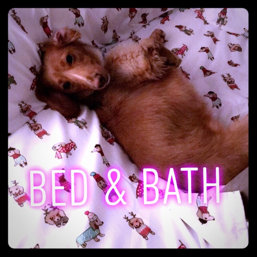 Bed & Bath household items